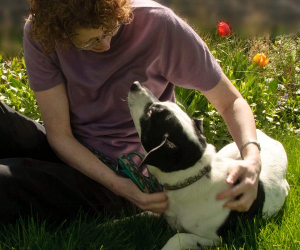 LakeshoreAminalC2_8001_edited-1